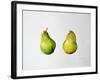 A Pair of Pears, 1997-Alison Cooper-Framed Giclee Print