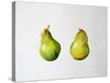 A Pair of Pears, 1997-Alison Cooper-Stretched Canvas