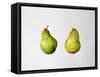 A Pair of Pears, 1997-Alison Cooper-Framed Stretched Canvas