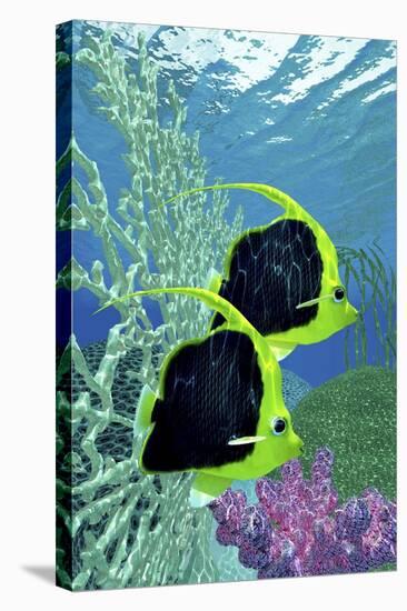 A Pair of Pennant Coralfish Swimming by a Coral Reef-Stocktrek Images-Stretched Canvas
