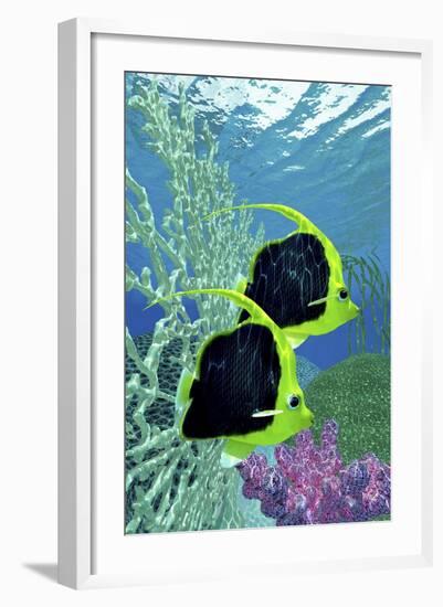 A Pair of Pennant Coralfish Swimming by a Coral Reef-Stocktrek Images-Framed Art Print