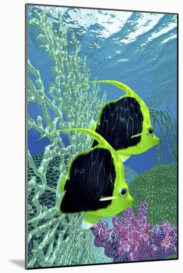 A Pair of Pennant Coralfish Swimming by a Coral Reef-Stocktrek Images-Mounted Art Print