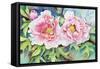 A Pair of Peonies-Joanne Porter-Framed Stretched Canvas