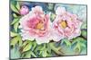A Pair of Peonies-Joanne Porter-Mounted Giclee Print