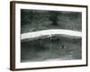A Pair of Pink-Headed Ducks at Foxwarren Park in June 1926-Frederick William Bond-Framed Photographic Print