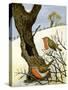 A Pair of Robins-Margaret Loxton-Stretched Canvas