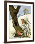 A Pair of Robins-Margaret Loxton-Framed Giclee Print