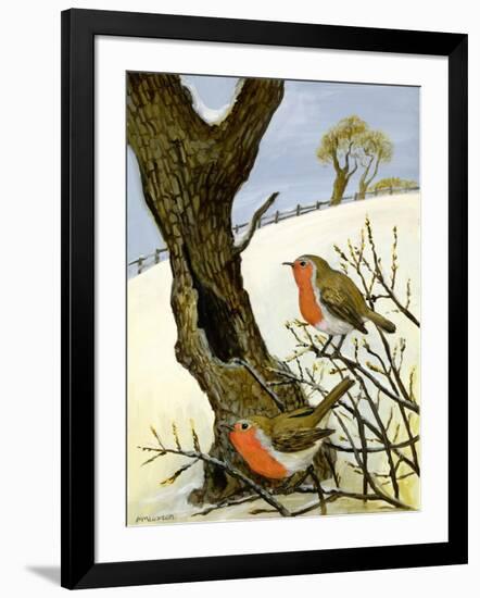 A Pair of Robins-Margaret Loxton-Framed Giclee Print