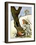 A Pair of Robins-Margaret Loxton-Framed Giclee Print