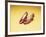 A Pair of Ruby Slippers Worn by Judy Garland in the 1939 MGM film "The Wizard of Oz"-null-Framed Giclee Print