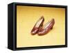 A Pair of Ruby Slippers Worn by Judy Garland in the 1939 MGM film "The Wizard of Oz"-null-Framed Stretched Canvas