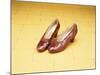 A Pair of Ruby Slippers Worn by Judy Garland in the 1939 MGM film "The Wizard of Oz"-null-Mounted Premium Giclee Print