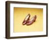 A Pair of Ruby Slippers Worn by Judy Garland in the 1939 MGM film "The Wizard of Oz"-null-Framed Premium Giclee Print