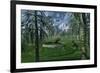 A Pair of Sabre-Tooth Tigers Encountering Ufo'S-null-Framed Art Print