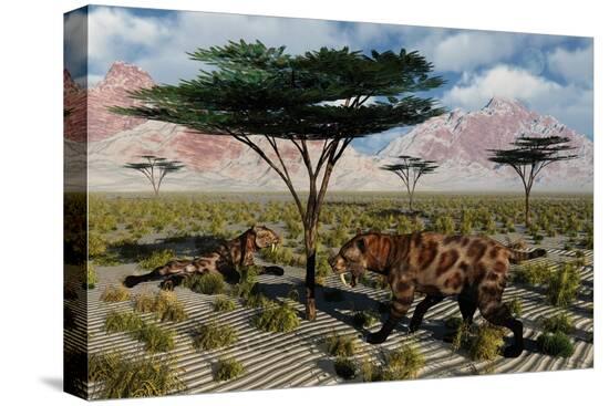 Stretched Canvas Print, , large