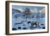 A Pair of Sabre-Toothed Tigers Surviving a Prehistoric Winter-null-Framed Art Print