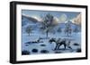 A Pair of Sabre-Toothed Tigers Surviving a Prehistoric Winter-null-Framed Art Print