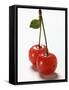 A Pair of Sour Cherries with Drops of Water-null-Framed Stretched Canvas