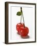 A Pair of Sour Cherries with Drops of Water-null-Framed Photographic Print