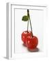 A Pair of Sour Cherries with Drops of Water-null-Framed Photographic Print