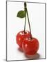 A Pair of Sour Cherries with Drops of Water-null-Mounted Photographic Print