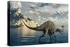 A Pair of Spinosaurus Hunting for Fish-Stocktrek Images-Stretched Canvas