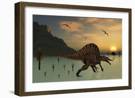 A Pair of Spinosaurus Hunting for Fish-Stocktrek Images-Framed Art Print