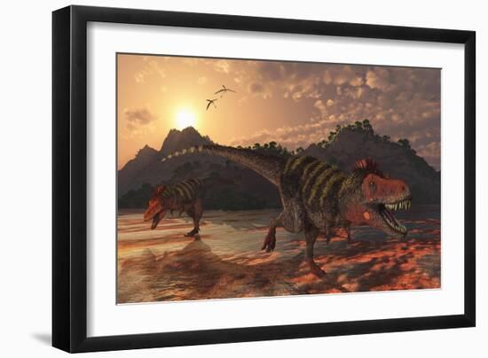 A Pair of Tarbosaurus Dinosaurs Scavaging for Food-Stocktrek Images-Framed Art Print