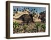 A Pair of Torosaurus Dinosaurs Fight Each Other-Stocktrek Images-Framed Photographic Print