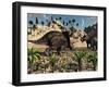 A Pair of Torosaurus Dinosaurs Fight Each Other-Stocktrek Images-Framed Photographic Print