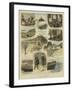 A Pair of Tourists-William Ralston-Framed Giclee Print