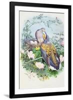 A Pair of Turtle Doves-Edouard Travies-Framed Giclee Print