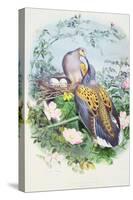 A Pair of Turtle Doves-Edouard Travies-Stretched Canvas