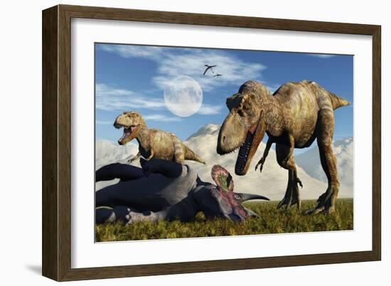 A Pair of Tyrannosaurus Rex Dinosaurs Ready to Make a Meal of a Dead Triceratops-Stocktrek Images-Framed Art Print