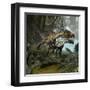 A Pair of Utahraptors Crossing a Stream-Stocktrek Images-Framed Art Print