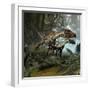 A Pair of Utahraptors Crossing a Stream-Stocktrek Images-Framed Art Print