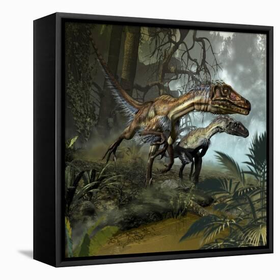 A Pair of Utahraptors Crossing a Stream-Stocktrek Images-Framed Stretched Canvas