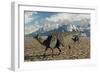 A Pair of Velafrons Hadrosaurid Dinosaurs from the Cretaceous Period-Stocktrek Images-Framed Premium Giclee Print