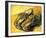 A Pair of Wooden Shoes, 1888-Vincent van Gogh-Framed Art Print