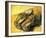 A Pair of Wooden Shoes, 1888-Vincent van Gogh-Framed Art Print