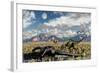 A Pair of Yangchuanosaurus About to Eat the Remains of a Dead Omeisaurus-Stocktrek Images-Framed Art Print