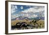 A Pair of Yangchuanosaurus About to Eat the Remains of a Dead Omeisaurus-Stocktrek Images-Framed Art Print