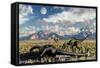 A Pair of Yangchuanosaurus About to Eat the Remains of a Dead Omeisaurus-Stocktrek Images-Framed Stretched Canvas