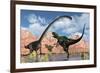 A Pair of Yangchuanosaurus Dinosaurs Confront an Omeisaurus-null-Framed Art Print