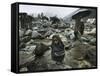 A Pakistani Earthquake Survivor Shivers-null-Framed Stretched Canvas