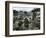 A Pakistani Earthquake Survivor Shivers-null-Framed Photographic Print