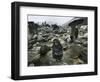 A Pakistani Earthquake Survivor Shivers-null-Framed Photographic Print