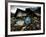 A Pakistani Earthquake Survivor Takes Shelter from the Rain-null-Framed Photographic Print