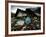 A Pakistani Earthquake Survivor Takes Shelter from the Rain-null-Framed Photographic Print