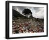 A Pakistani Refugee Walks Past Clothing Left Strewn on the Ground-null-Framed Photographic Print